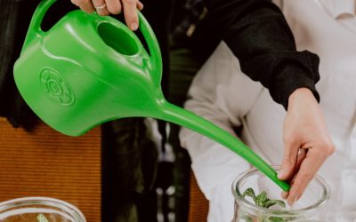 Czy pochwały powinno się pochwalać?