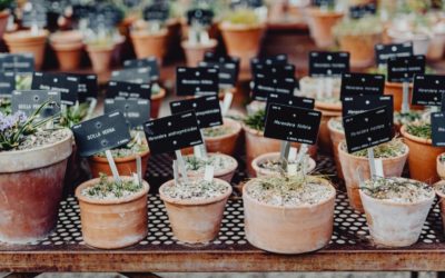 Jak przestać stresować planetę – proste sposoby na uratowanie świata