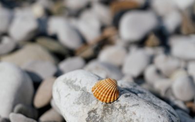 Trzy alternatywy poszukiwania sensu życia, które nie są bez sensu